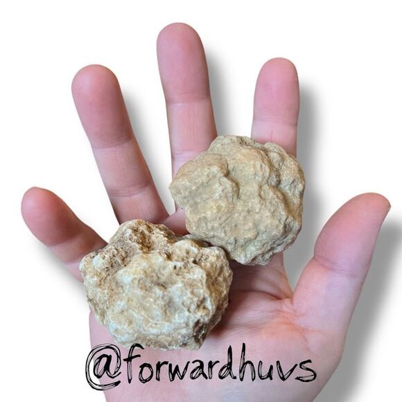 (2) 2”  Raw Tennessee Creek Geode - Break them Yourself - Picture 2 of 7